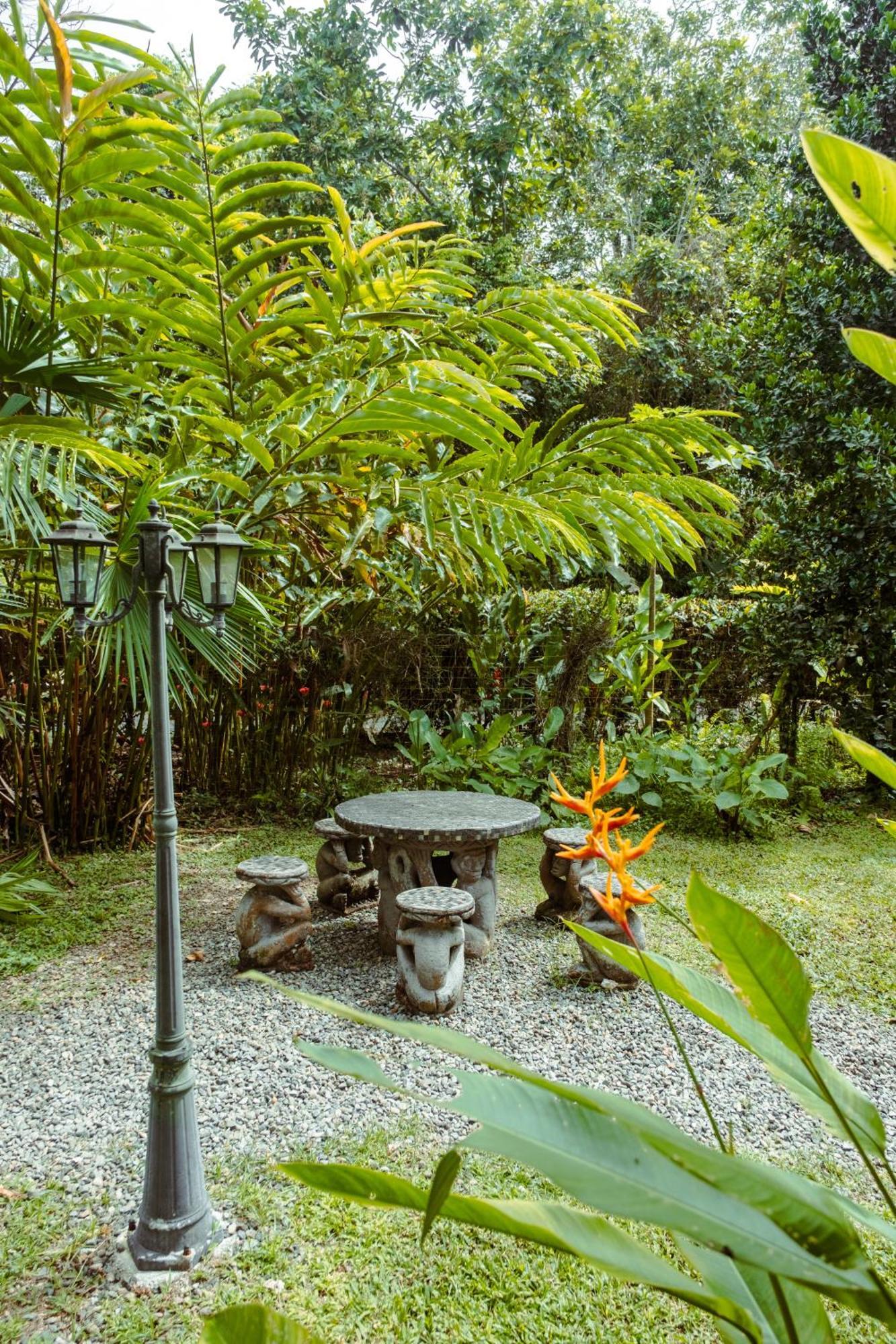 Pura Vida Vegana Hotel Cahuita Exterior photo